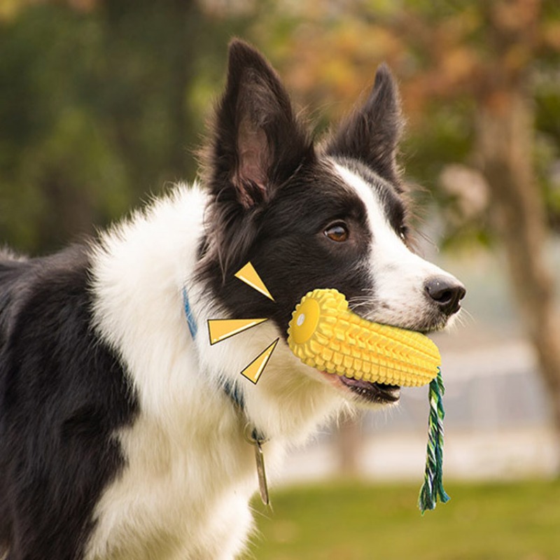 Piepende Corn Dog Tandenborste - Corn Dog Stick recensie en prijs