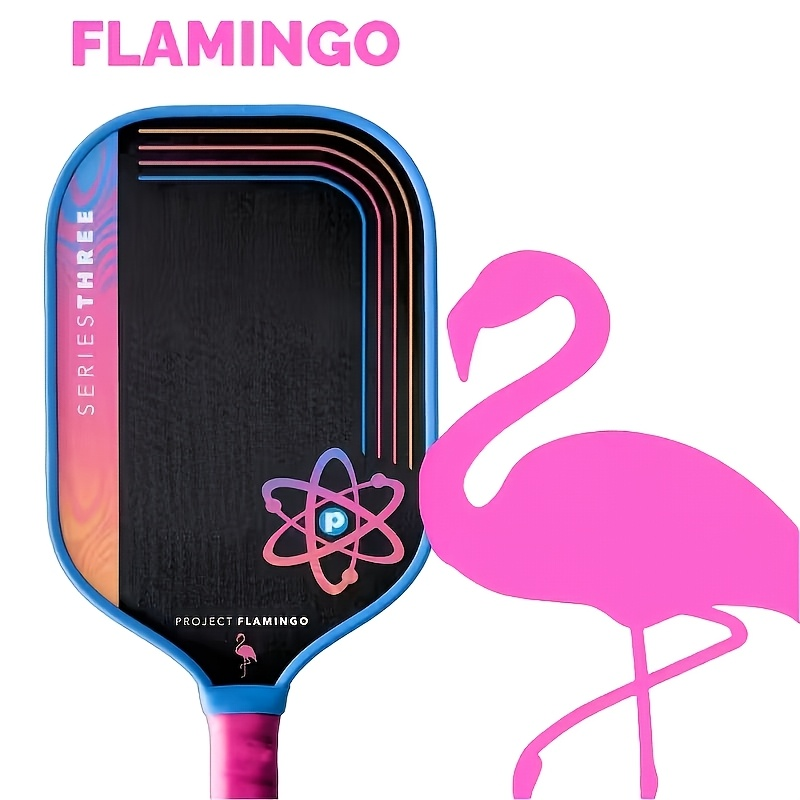 PROJECT PEACOCK Pickleball Pad - Crepe Pan Carbon recensie en prijs